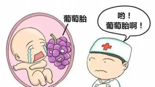 <b>上海代孕中介机构的,国内医院试管婴儿弄错事件多不多？</b>