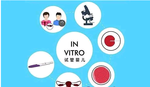 上海安全可靠的助孕公司,上海黄热病疫苗接种流程,上海试管婴儿流程关爱上海