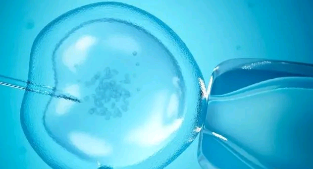 <b>上海AA69试管婴儿代孕,产检时，孕妇能不能只做无创DNA，不做唐筛呢？看完或许</b>