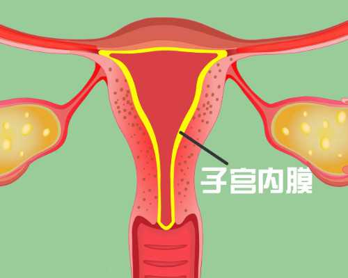 上海代孕公司可靠吗,做过导丝疏通输卵管的姐妹能说说有用吗？