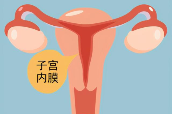 2023郑州供卵的私立机构最新发布，附供卵三代生男孩费用详情-代孕网的优质
