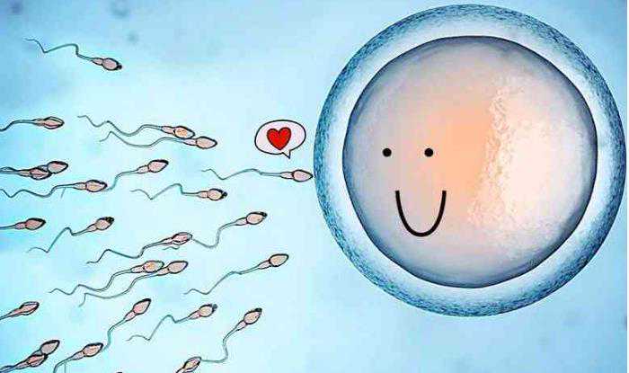 胎儿发育不全_胎停与染色体异常_高龄求子泰国杰特宁医院助孕圆梦