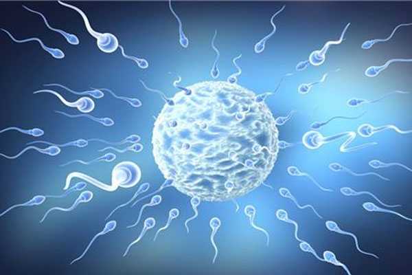 切除子宫后试管_无排卵性不孕_试管婴儿的过程步骤